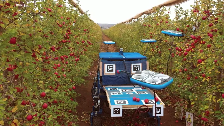 A Tevel FAR unit makes its way through an apple orchard