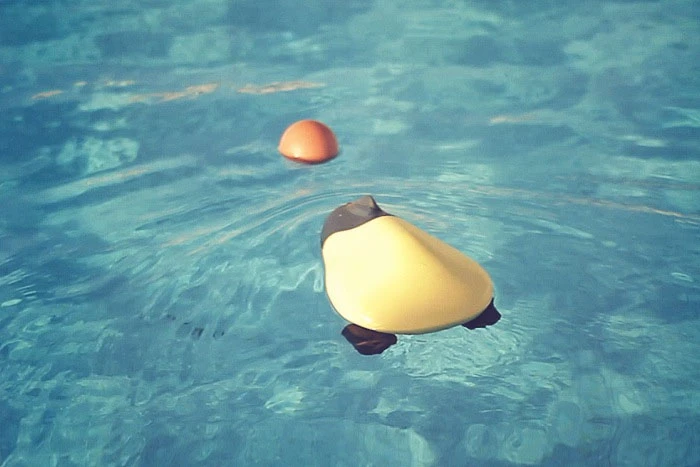 Thanks to its integrated Raspberry Pi and ATMEGA microcontrollers, the watercraft can autonomously track and chase down a colored ball thrown into the water in its vicinity