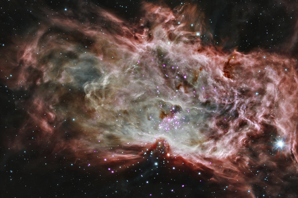 Composite image of the Flame Nebula, comprised of infrared and x-ray images (Image: NASA/CXC/PSU/K.Getman, E.Feigelson, M.Kuhn & the MYStIX team; Infrared: NASA/JPL-Caltech)