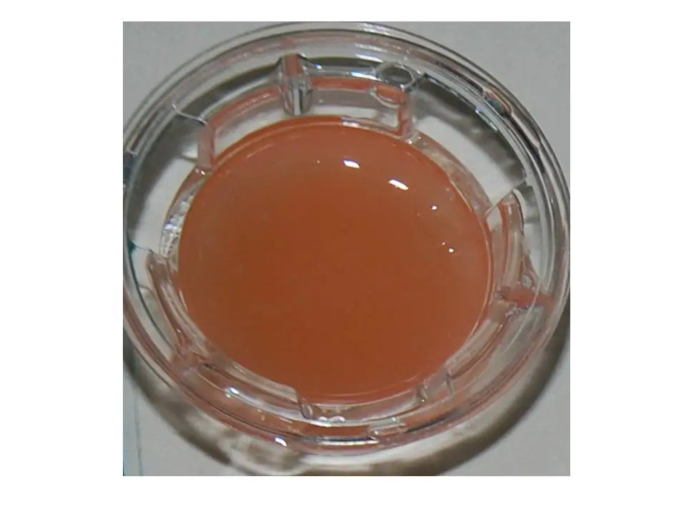 The University of Granada's fibrin-agarose artificial skin