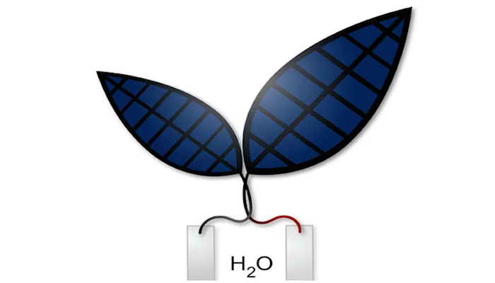 Researchers at Harvard have developed a more efficient version of the bionic leaf, which can turn sunlight and water into electricity and liquid fuels