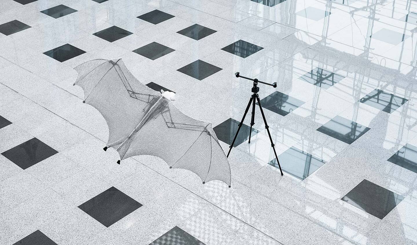 The BionicFlyingFox is tracked by two infrared cameras