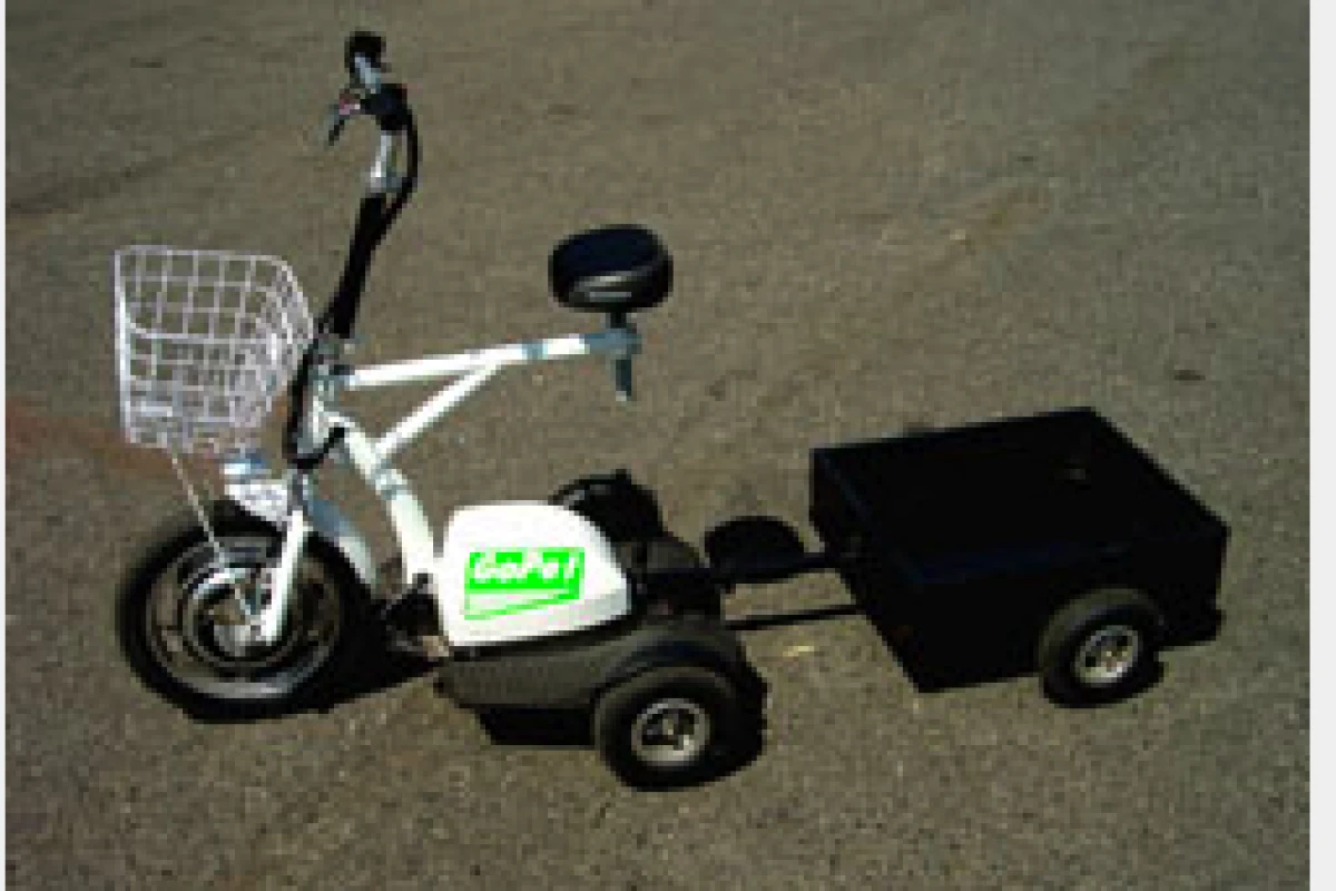 The GoPet comes with basket and optional trailer - ideal for shopping or long days out