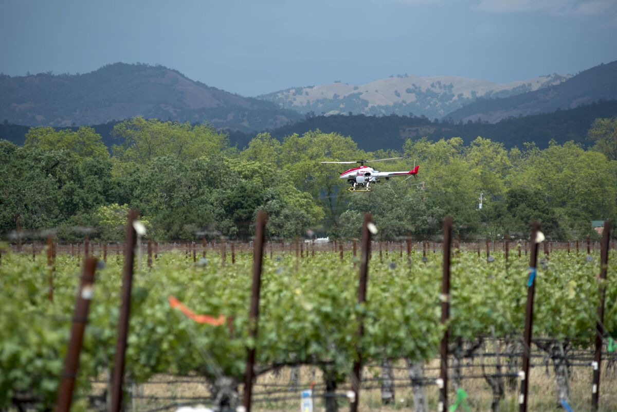 The UC Davis project aims at adapting Japanese UAV techniques for US farming