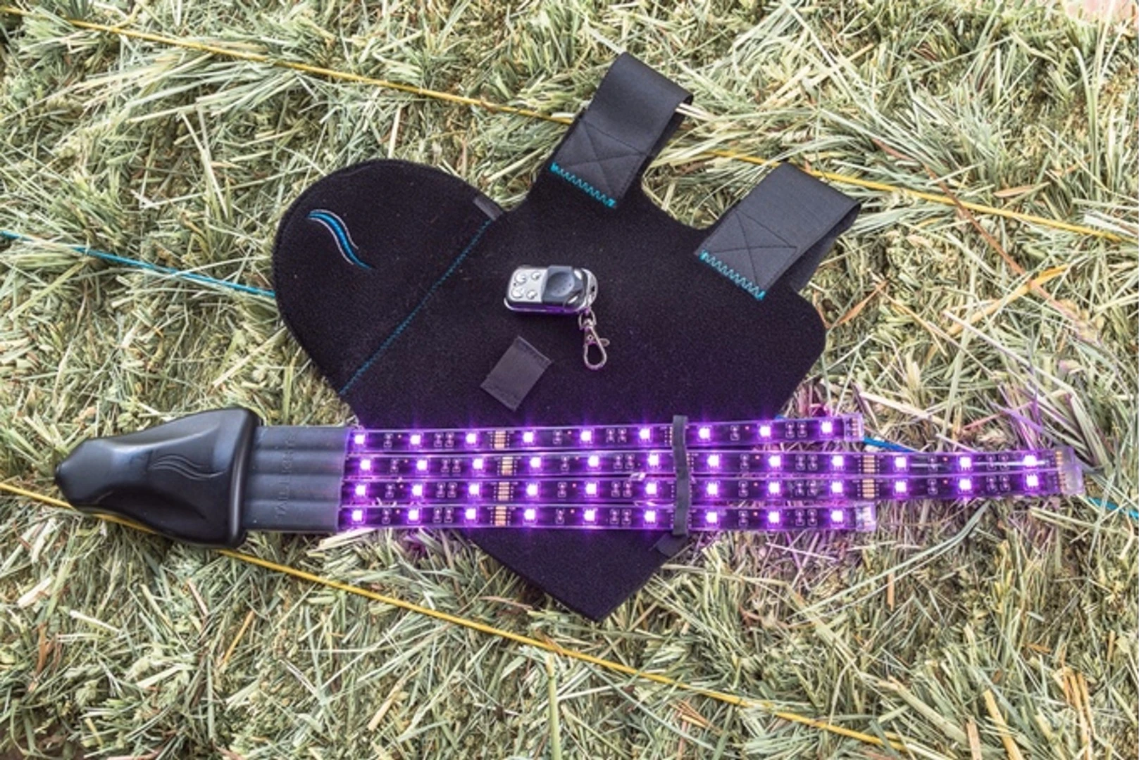 The Tail Lights System set for purple