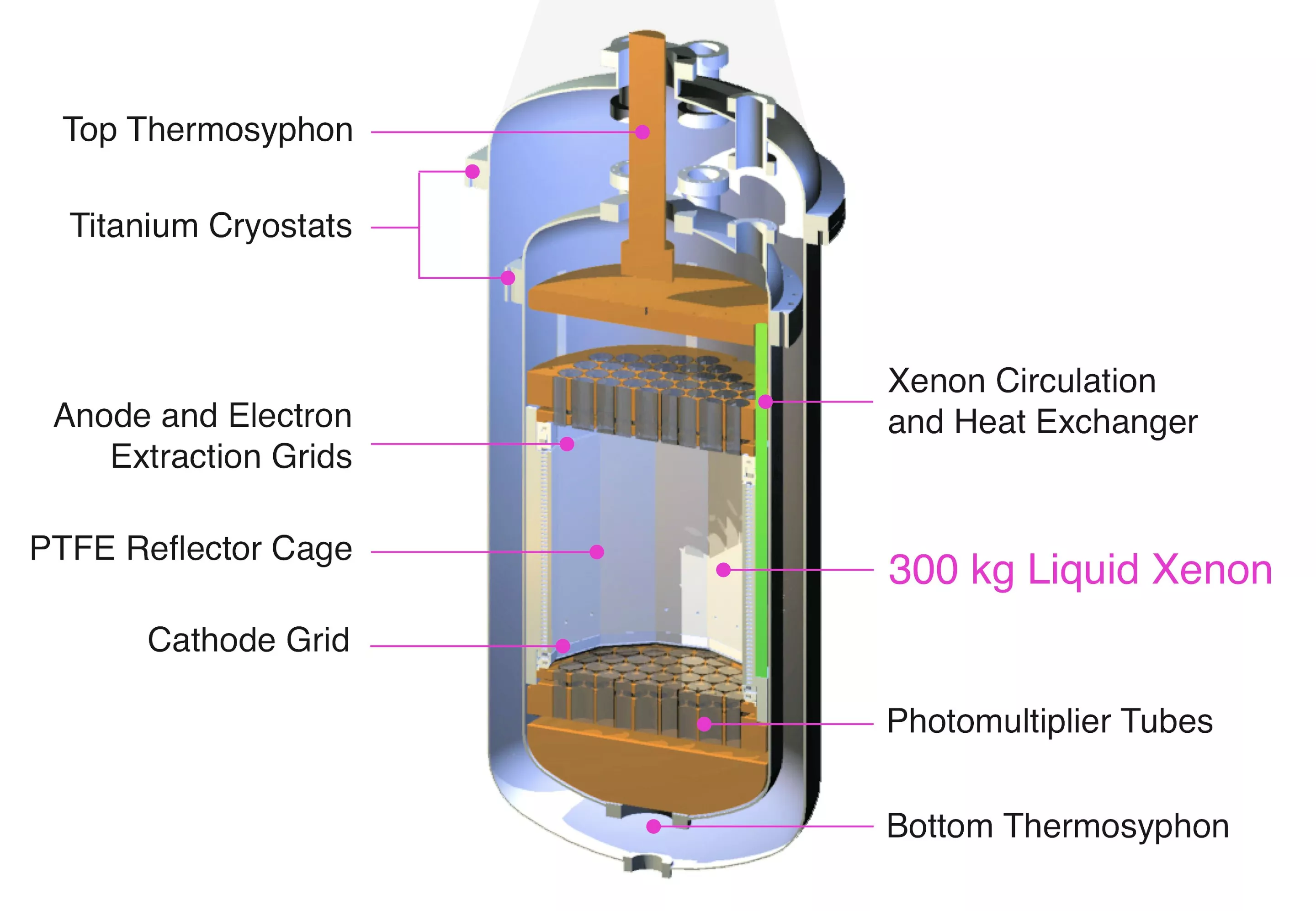 A cross-sectional view of the LUX dark matter detector (Image: LUX)