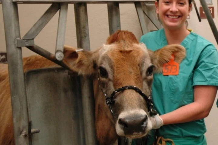 Shelby Reinstein with Wilhelmina before surgeryPhoto: Kansas State University