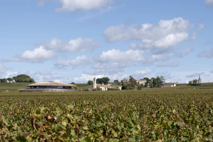 Le Dôme Winery is designed to blend into the landscape and takes its place well among the rolling hills and local architecture