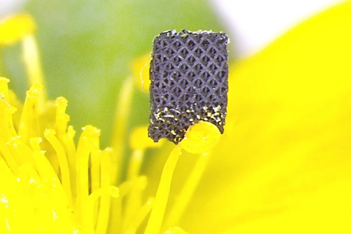 A 3D-printed piece of graphene aerogel, that's so light it can balance on top of a strawberry blossom