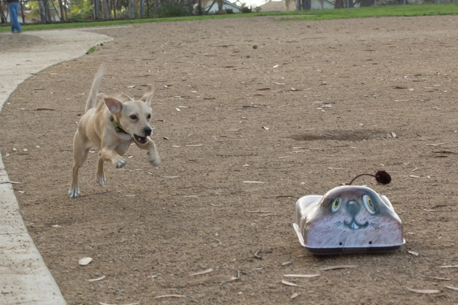 Go-Go Dog Pals are said to be rugged and durable enough to withstand what your dog throws at them