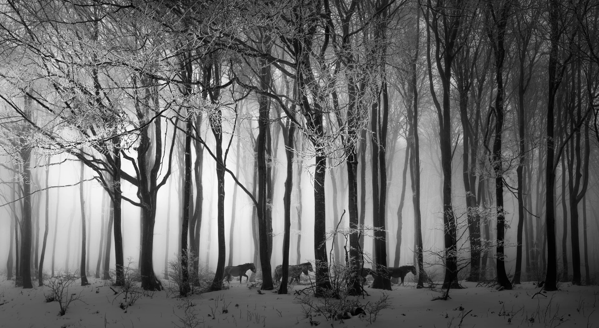 Buzludja Peak National Park, Central Balkan, Bulgaria. From the top 101 entries