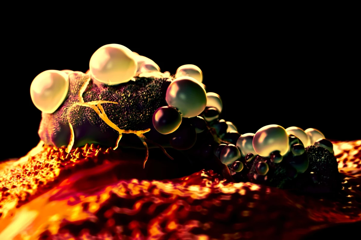 Stem cells could help prevent diabetes onset from cancer immunotherapy Stem cells could help prevent diabetes onset from cancer immunotherapy
