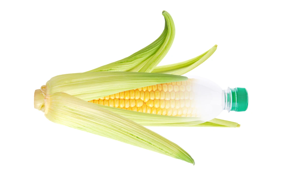 Researchers in Belgium have developed a simpler process for the production of PLA bioplastic