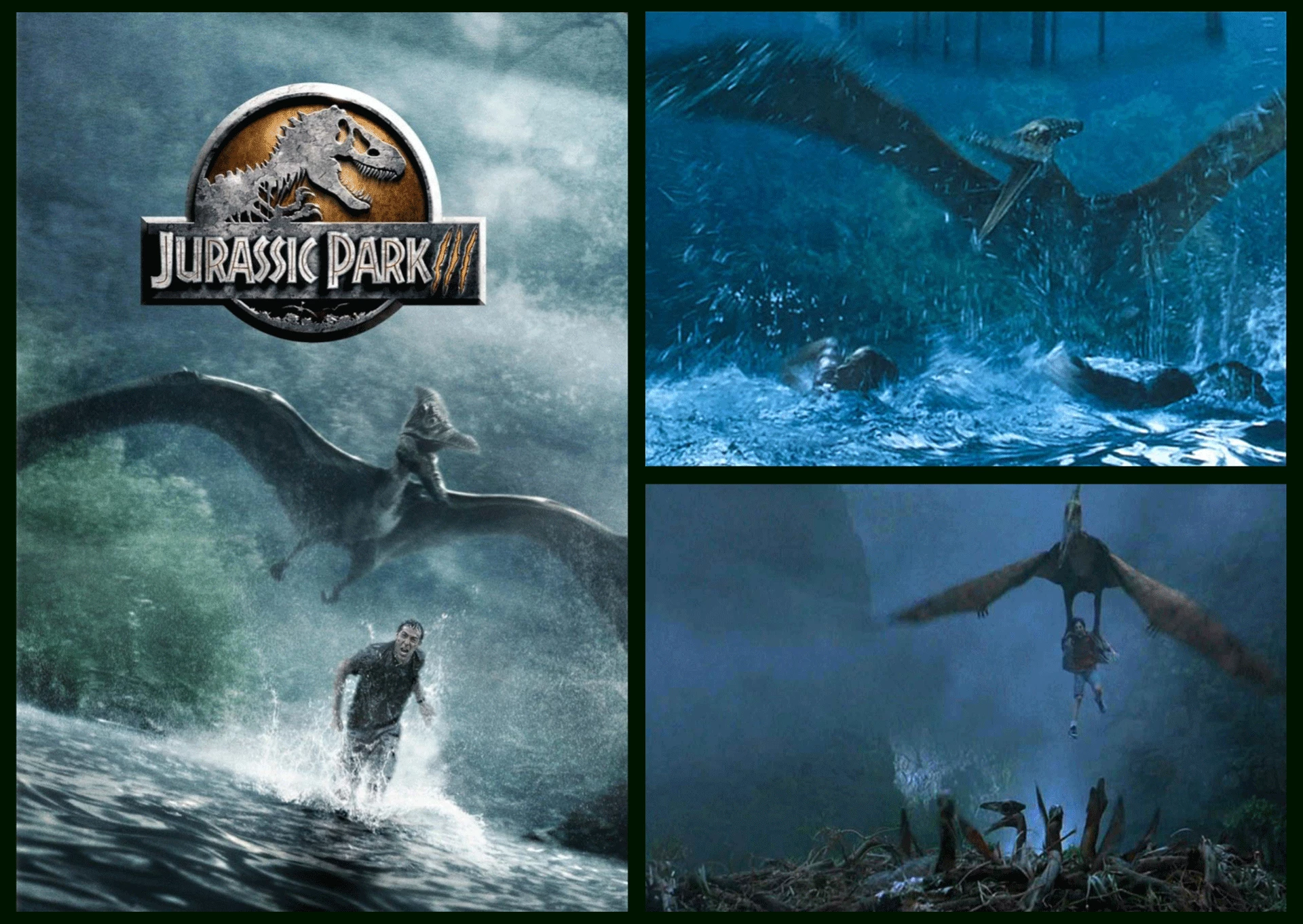 If the aviary scene in Jurassic Park III didn't frighten six months growth out of you, the following scene might have done the trick. It involved the Pteranodon picking up a human (above left and top right) and taking him home for lunch ... to his Pteranodon nest (bottom right) that was full of Pteranodon chicks. Such scenes make a deep impression.