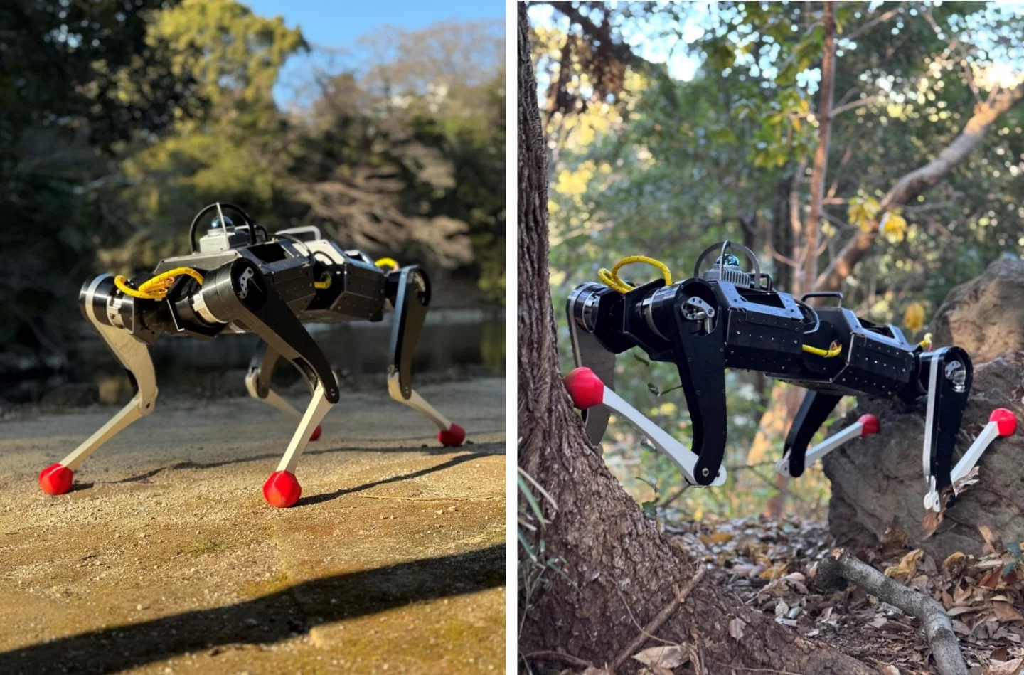 The KLEIYN robodog can tackle various terrains and climb in the wild too