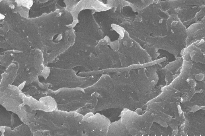 A Scanning Electron Microscopy (SEM) image of the new ultra-strong polymer reinforced with carbon nanotubes (Image: IBM)