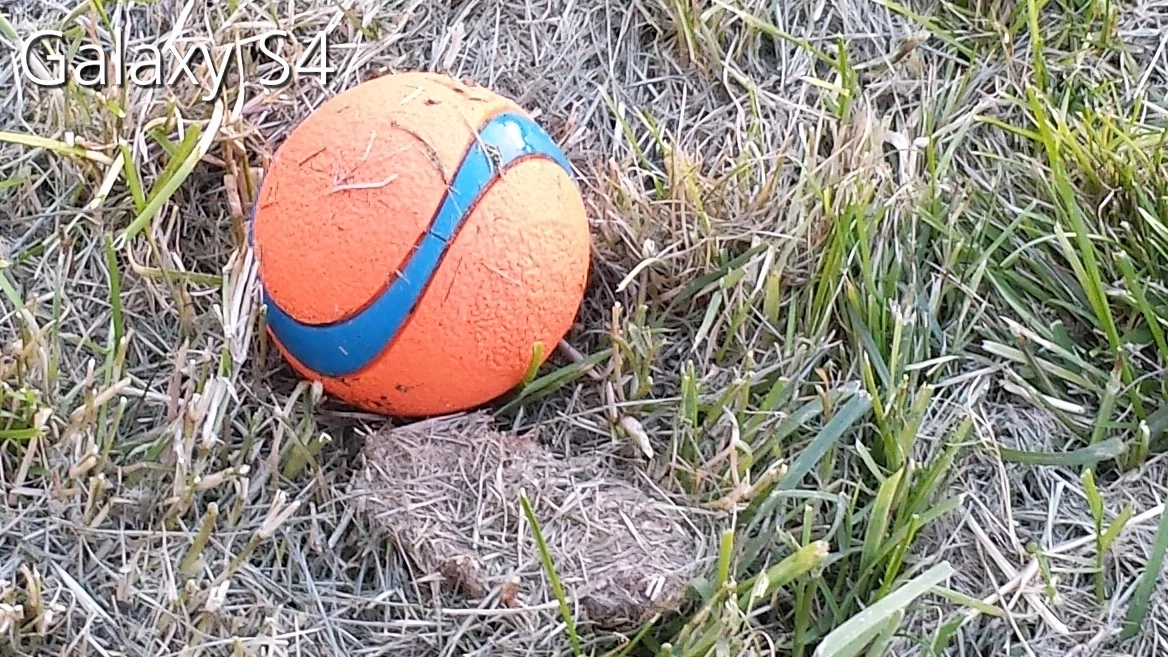 Crop of an outdoor shot taken with the Galaxy S4