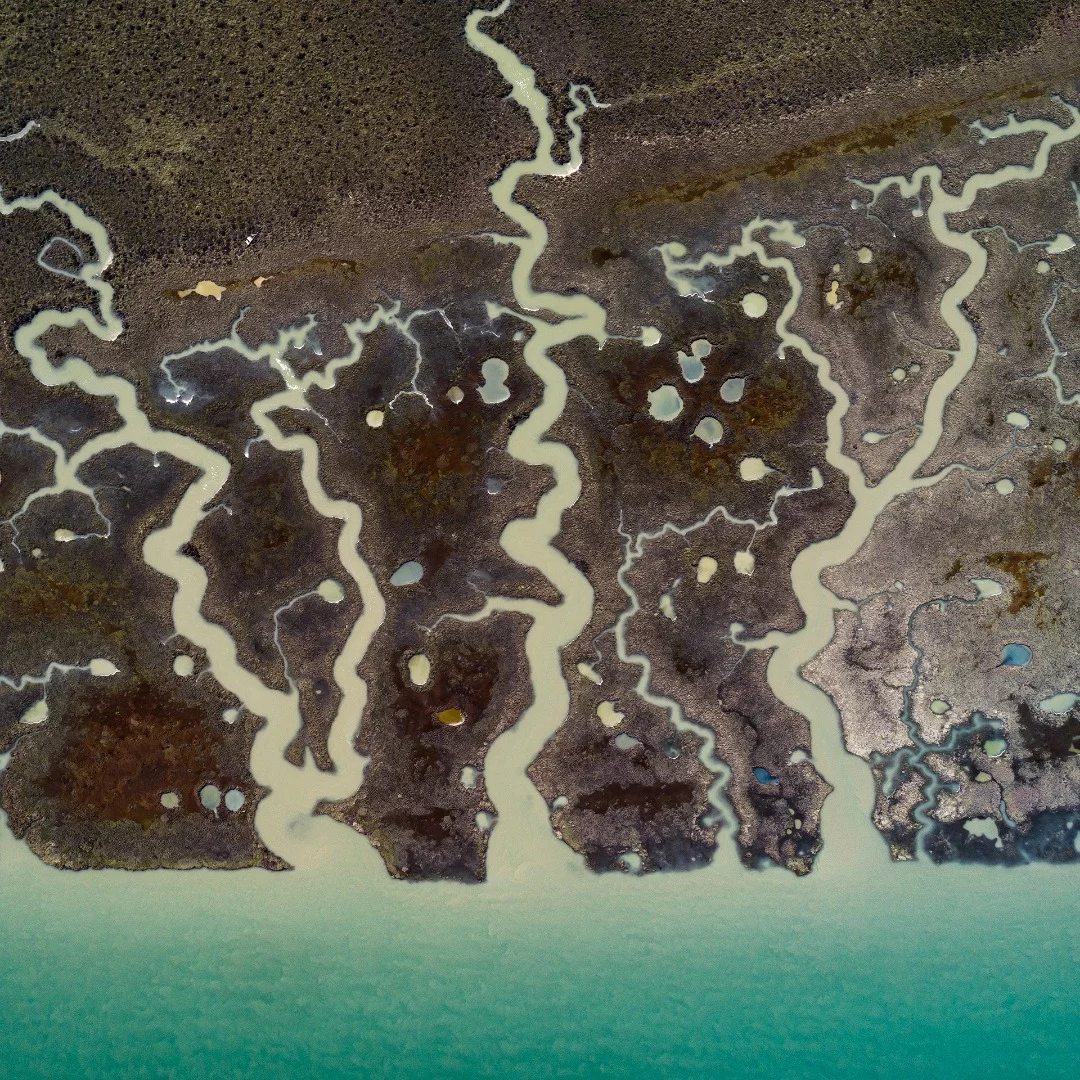 Tidal streams of the San Pedro rive in Cadiz, Spain