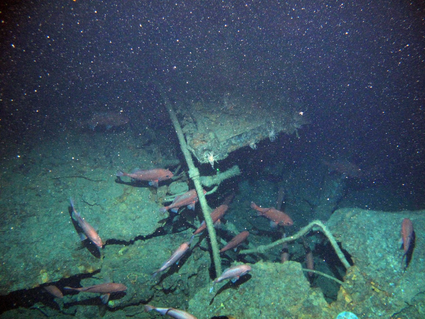 Broken casing of HMAS AE1