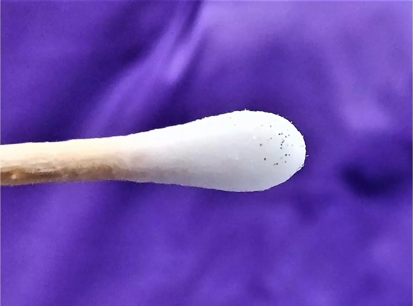 A batch of theragrippers, on the end of a cotton swab