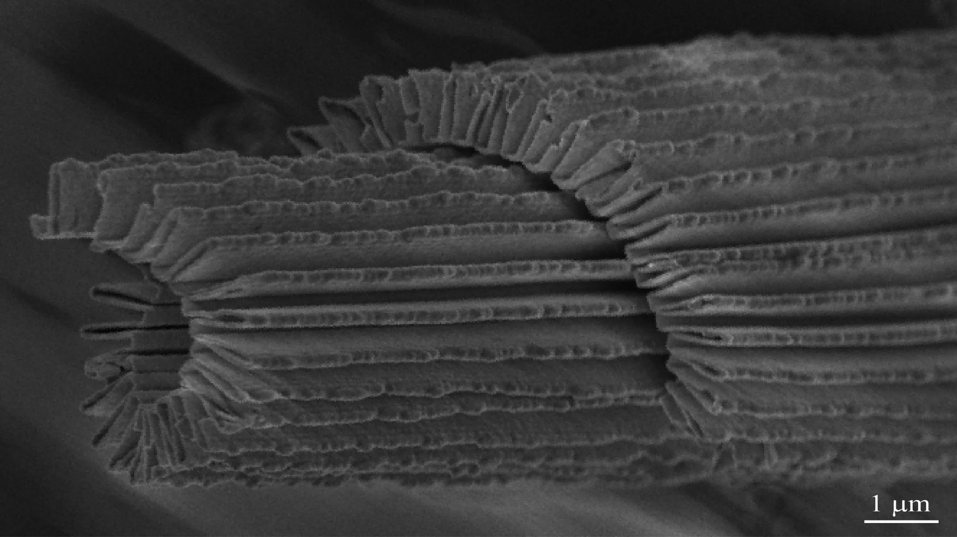 Researchers at North Carolina State University have created a "nano-accordion" material that conducts electricity and is transparent, flexible, and stretchable