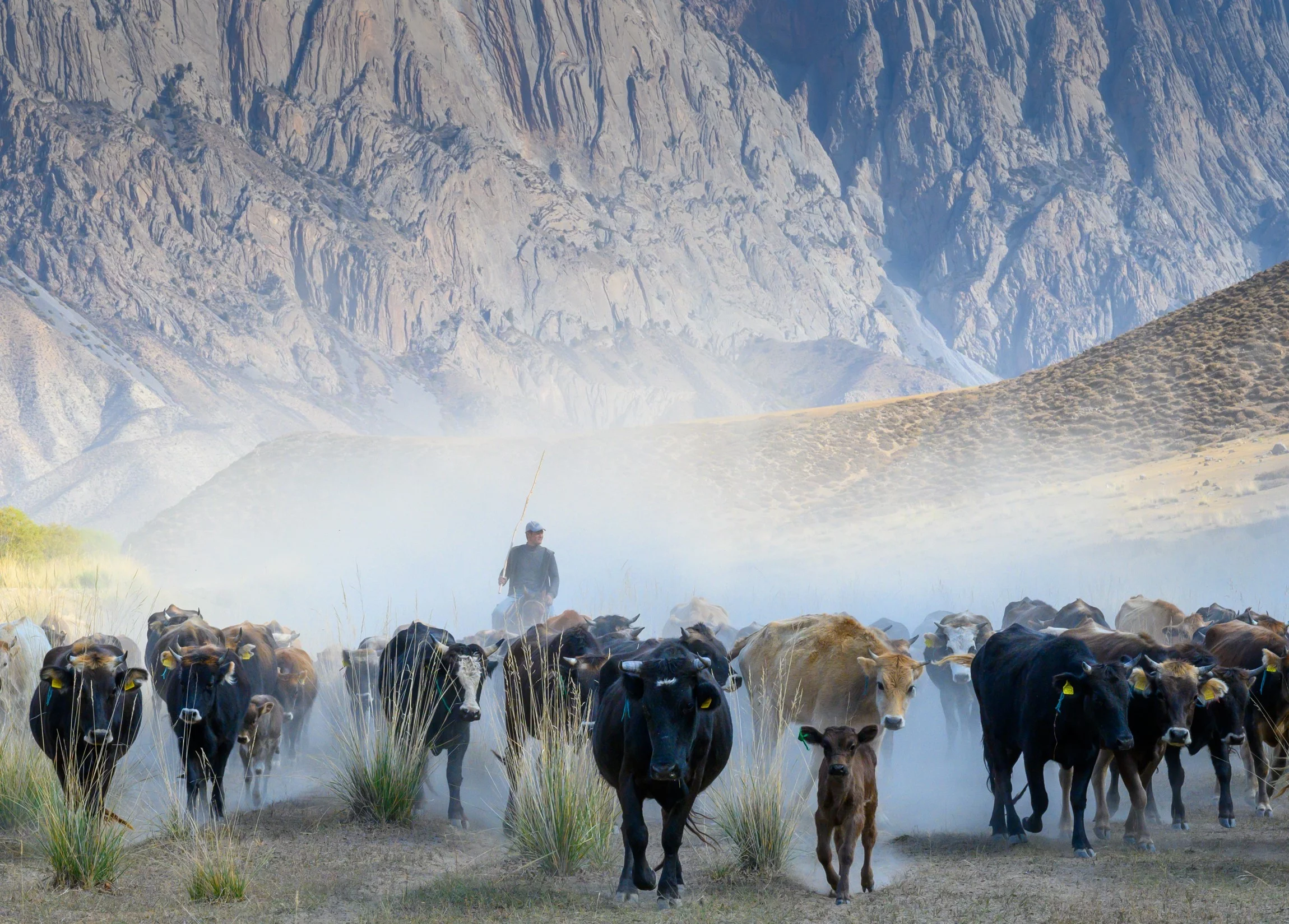 Silver Award, 1st Place, Travel Portfolio.