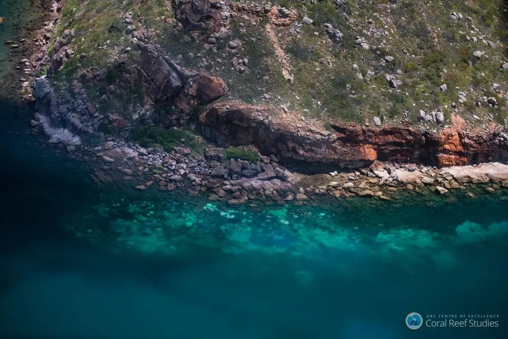 Australia's Great Barrier Reef has experienced its most severe coral bleaching event on record
