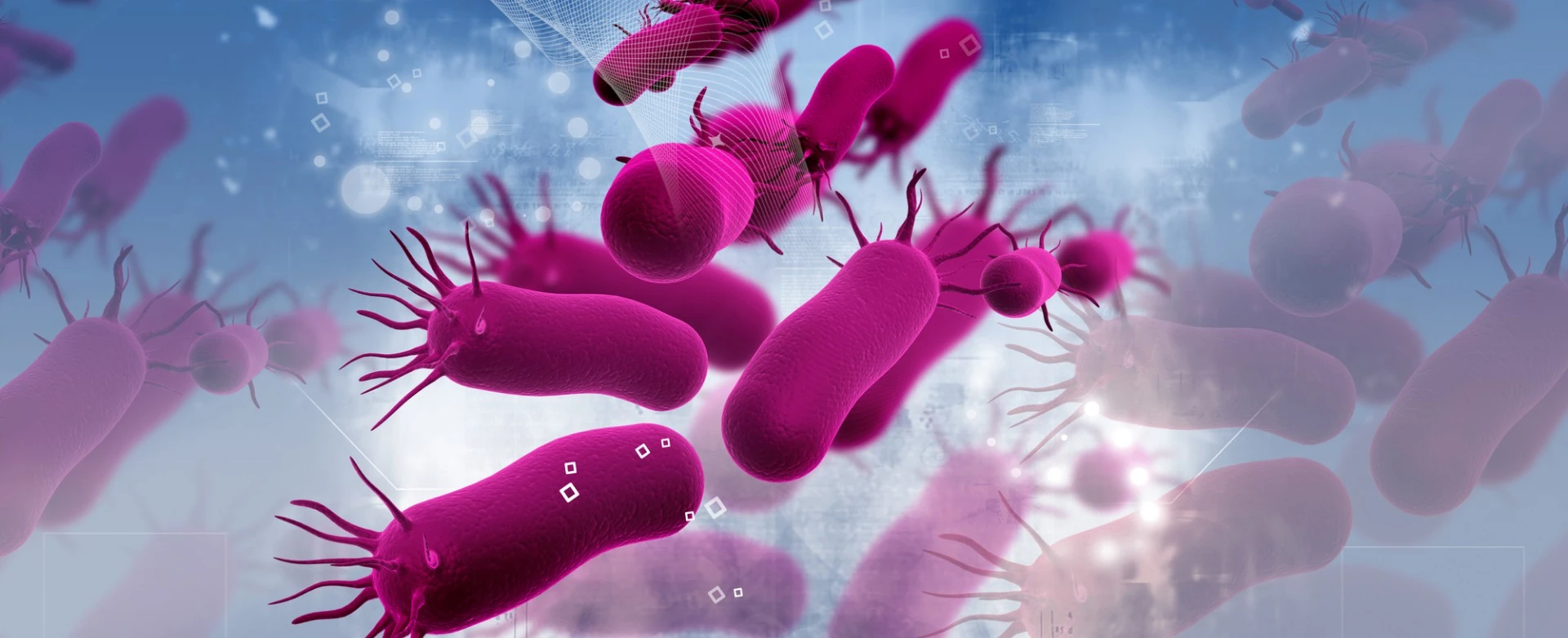 In a newly discovered "zombie state" bacteria slow down all processes to avoid extreme environmental conditions such as antibiotics or lack of nutrients