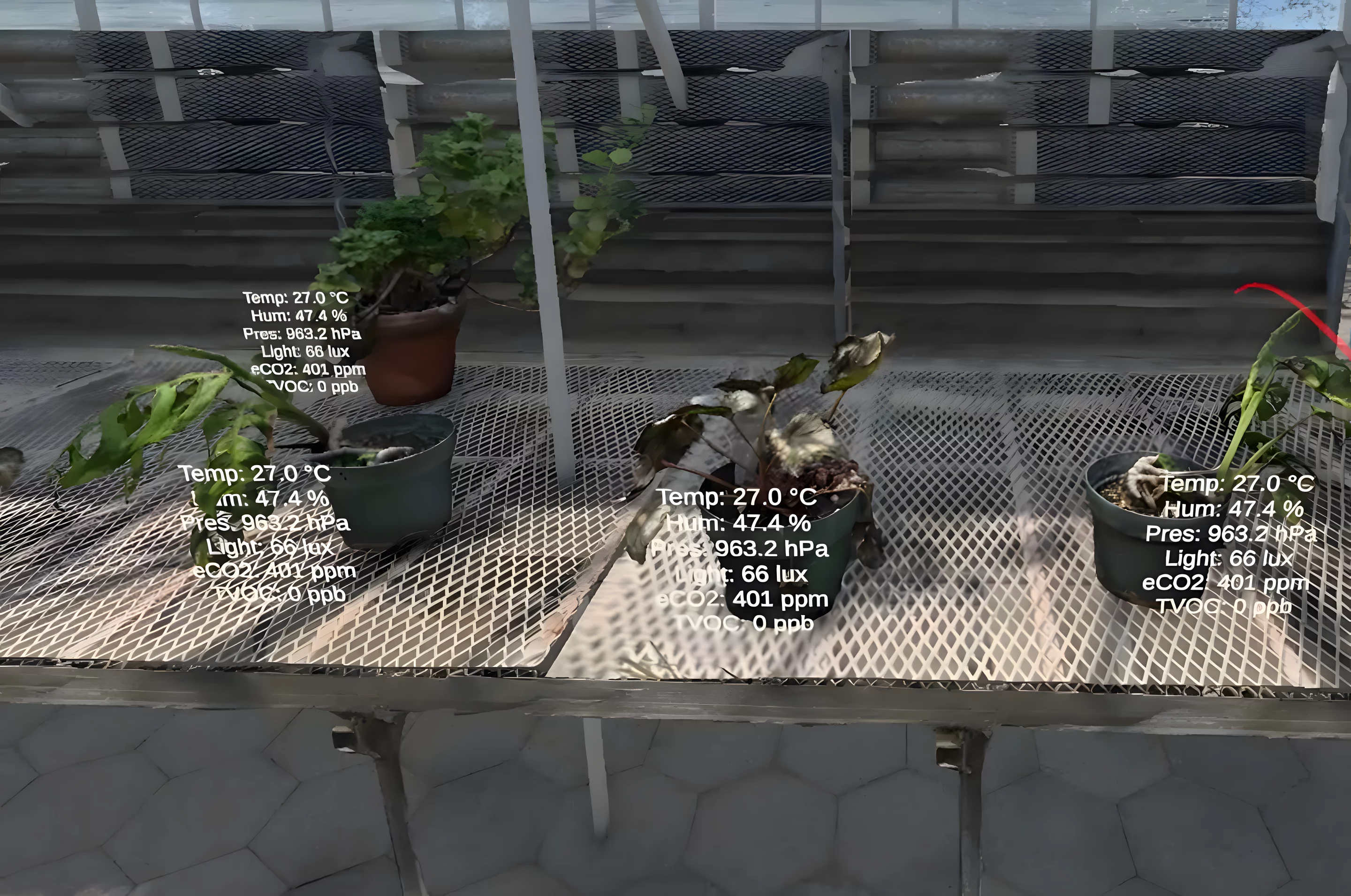 Various IoT sensors in the real-life greenhouse feed essential data to the virtual visitor