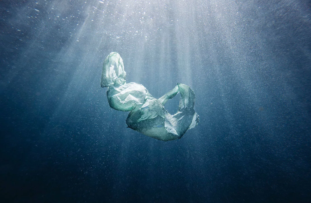 A winner in the Water category, called Her Majesty, taken in Australia: "A plastic bag in its natural habitat, the ocean"