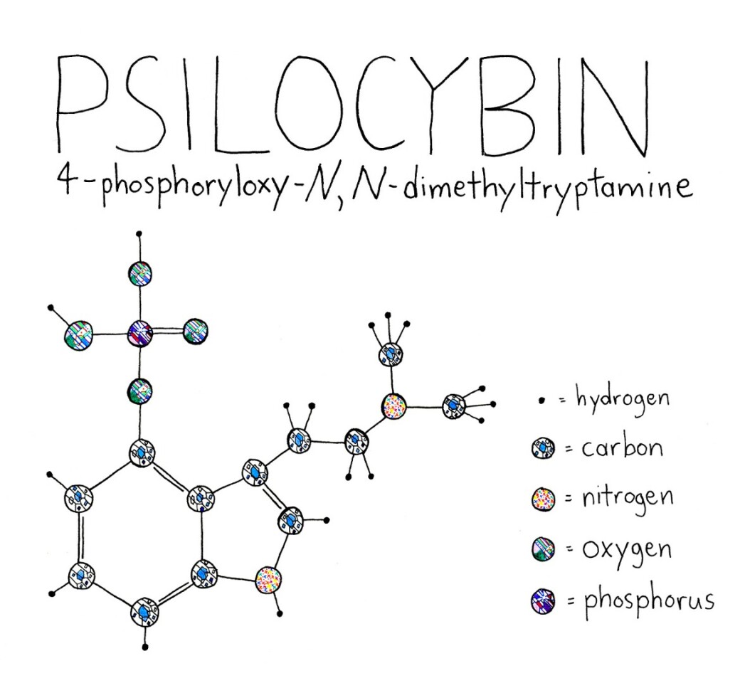 Psilocybin (Credit: tao lin Flickr CC BY 2.0)