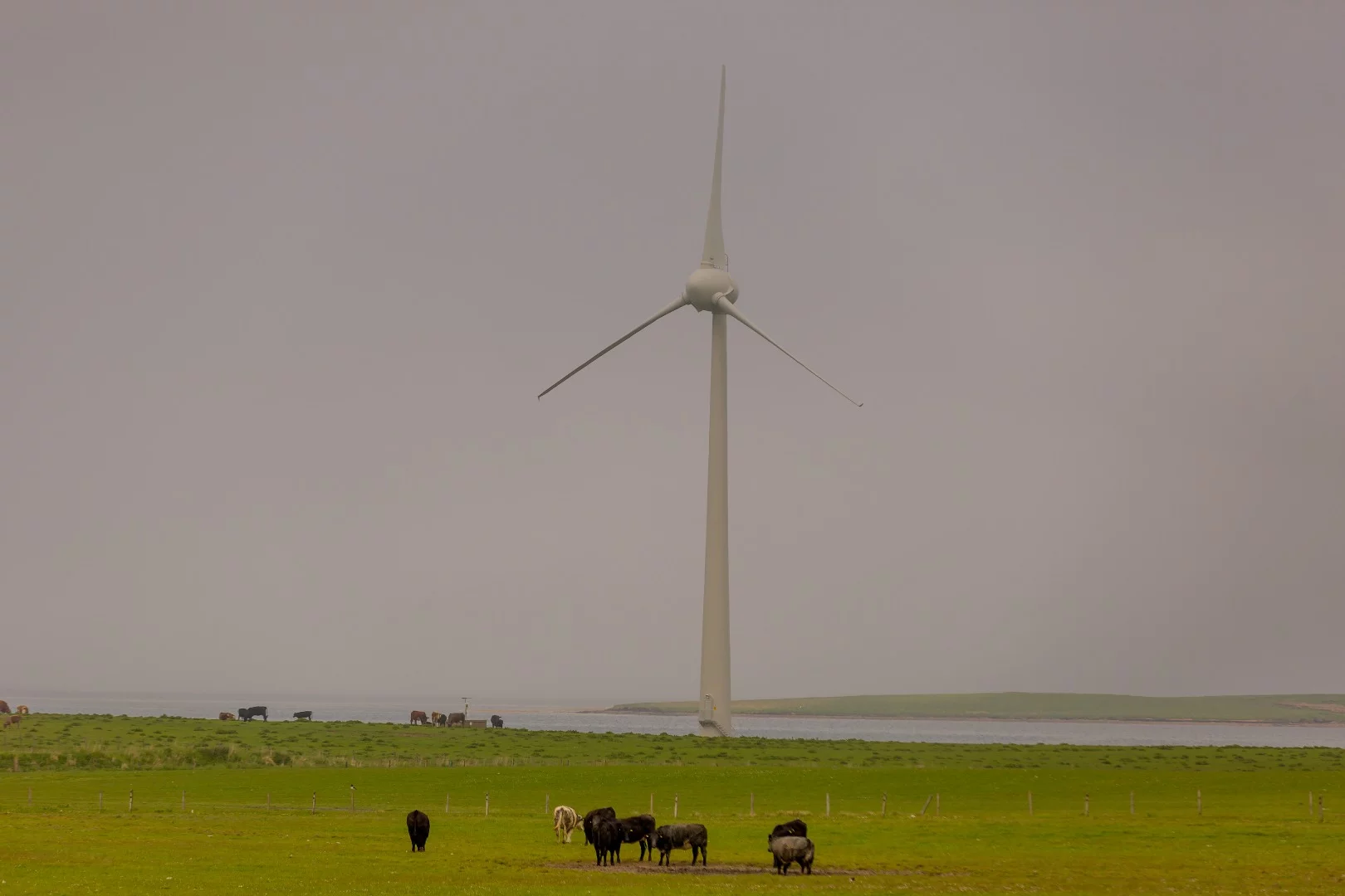 The nearby Orkney Islands are 100 percent powered by renewable sources, such as wind turbines