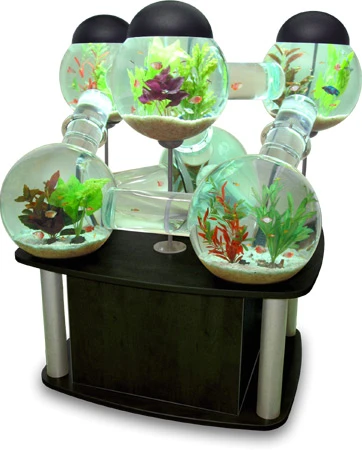 The Labyrinth Aquarium stand comes in a choice of three colors