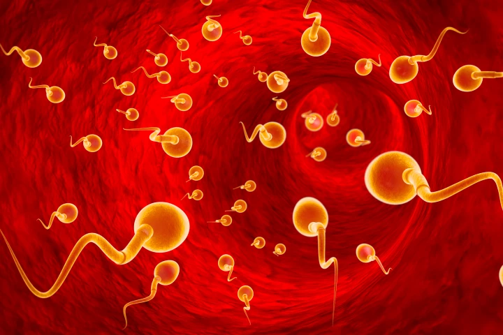 Some experts not affiliated with the new study have argued the way we count sperm has changed over time, making longitudinal meta-studies such as this one redundant