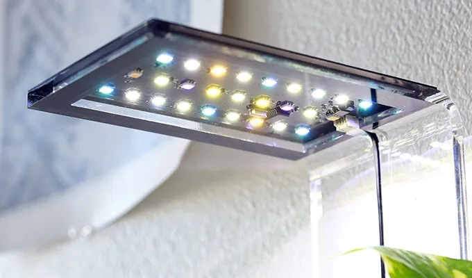 Other features of the EcoQube C+ aquarium include a built-in waterfall and overhanging customizable LED light that can be controlled via remote control