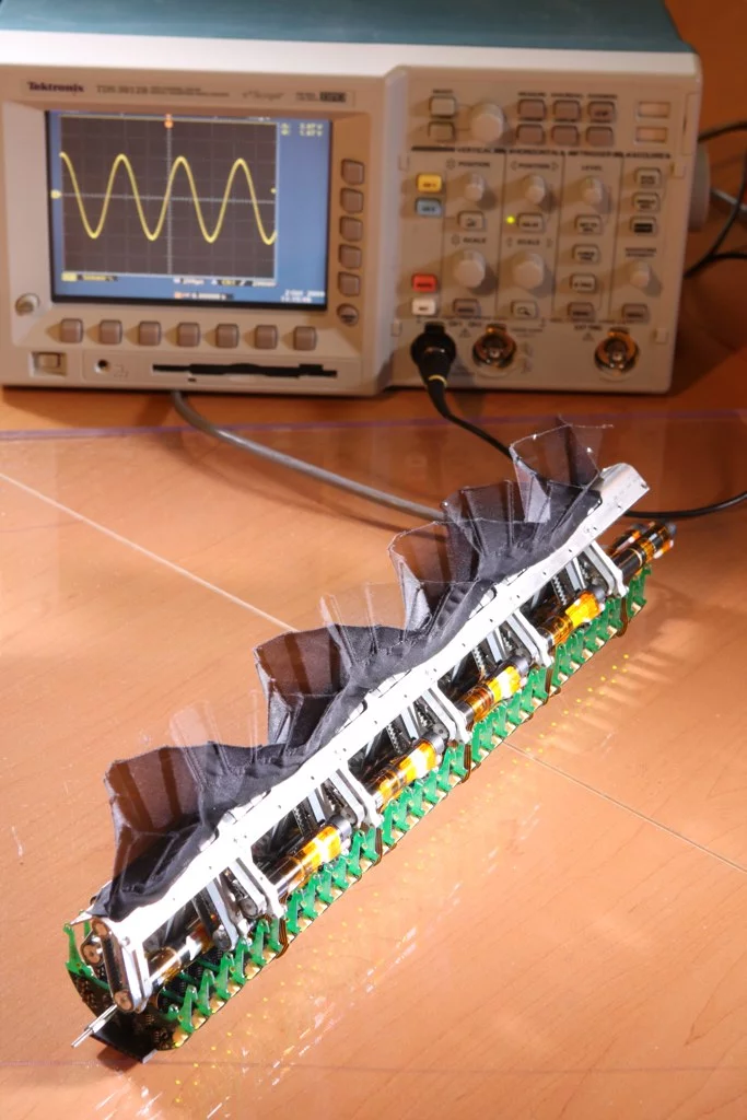 Researchers have created an underwater robot that swims in any direction using just one fin, inspired by the black ghost knife fish (Photo: Northwestern University)