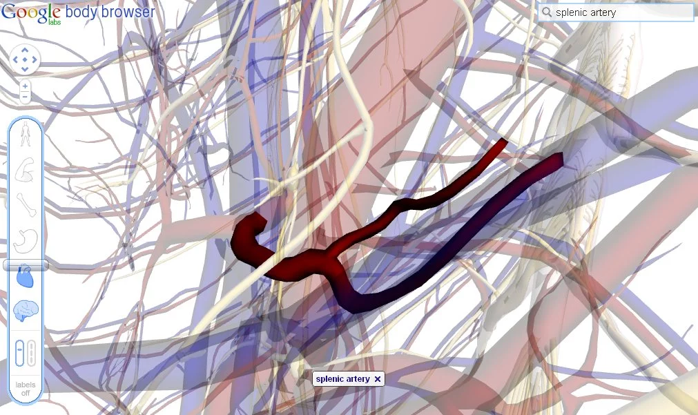 The Body Browser offers vein and artery level detail