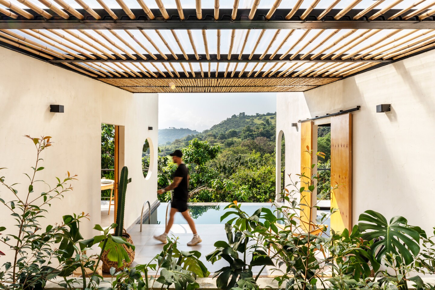 The north side of the home is adorned with local vegetation