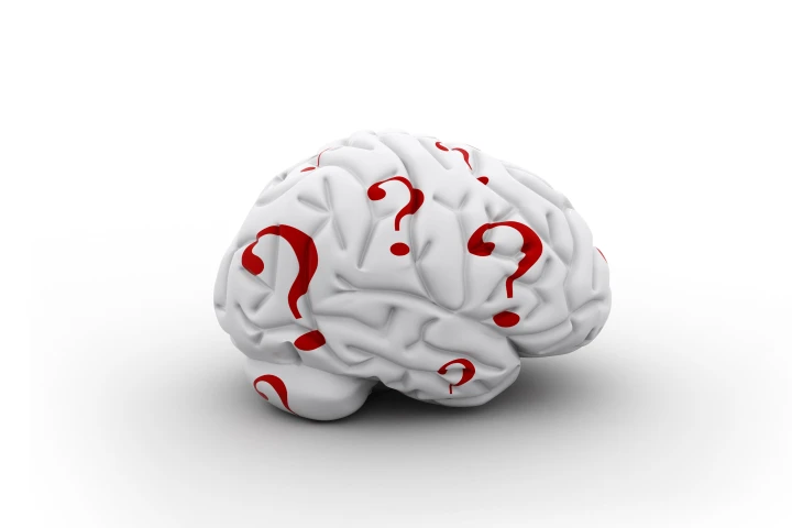 Swedish researchers have created a computer program that can score 150 on standard non-verbal IQ test questions (Image: Shutterstock)