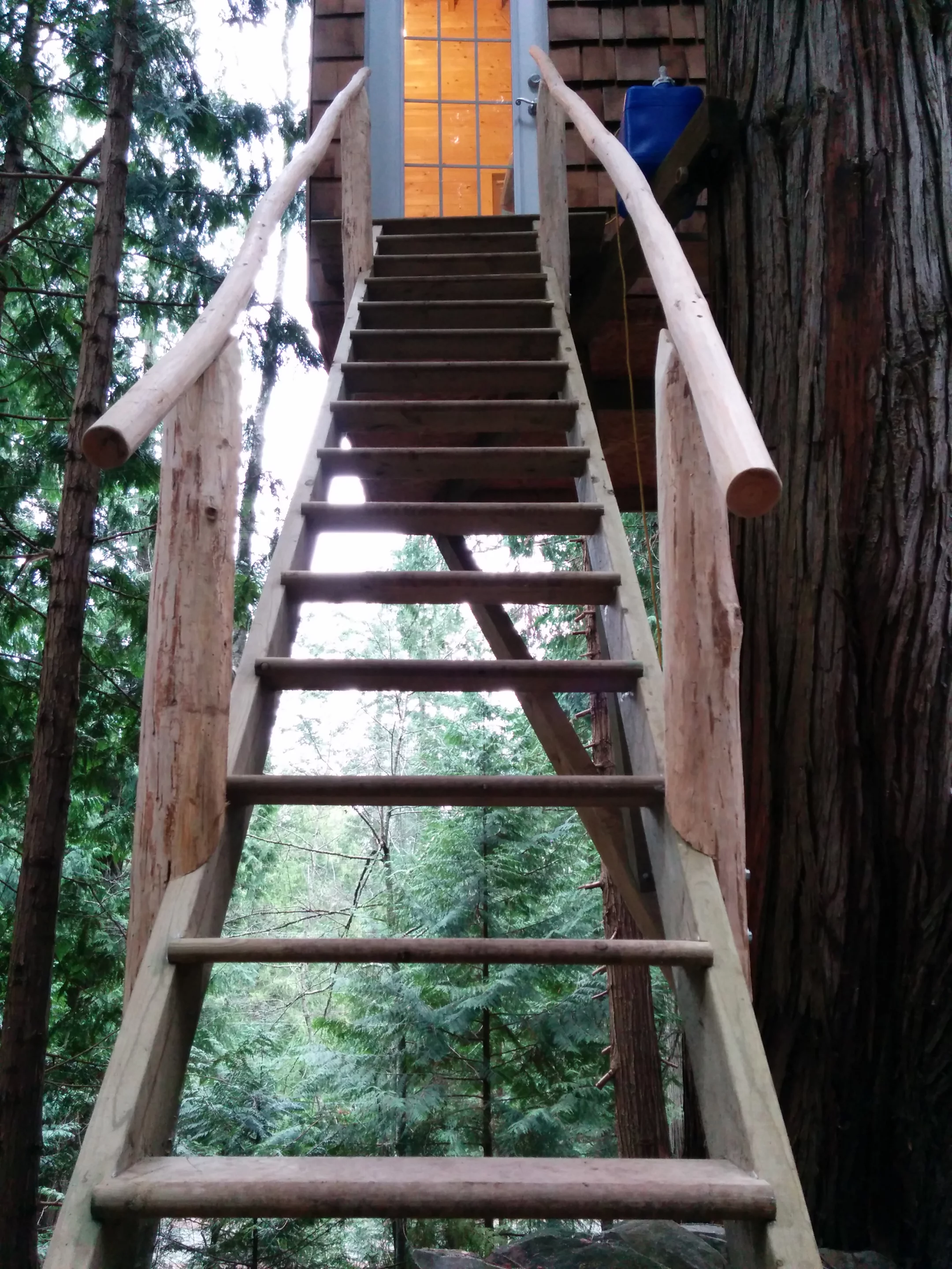 Access is gained by steep wooden stairs which are set on wheels (Photo: Geoff de Ruiter)