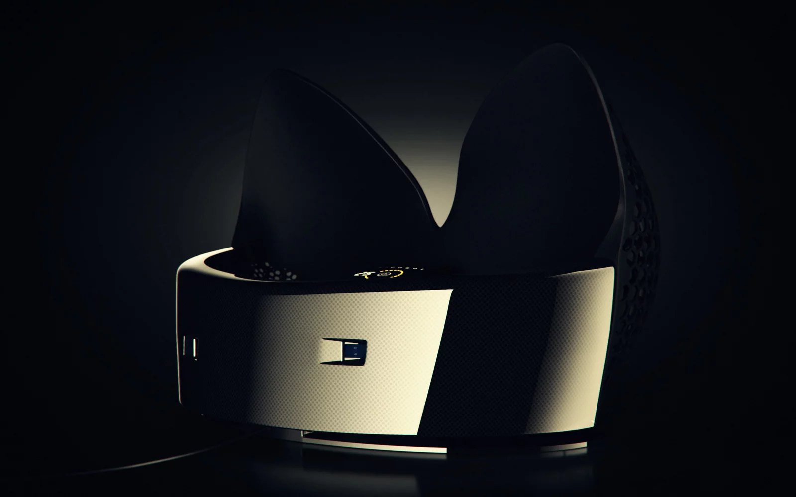 Another view of Ricasol's Bra Dryer 2.0