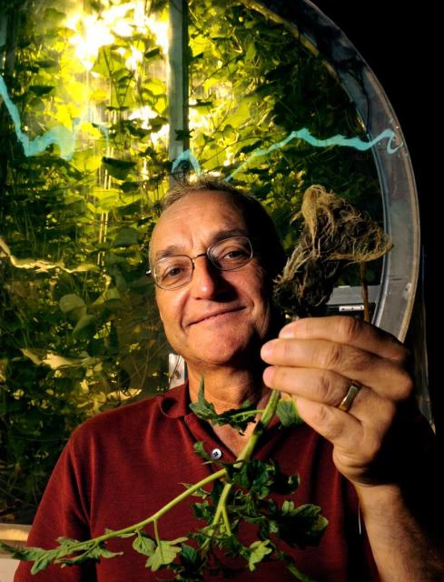 Gene Giacomelli at the Lunar Greenhouse in the UA's Controlled Environment Agriculture Center (Image: Norma Jean Gargasz / UANews)