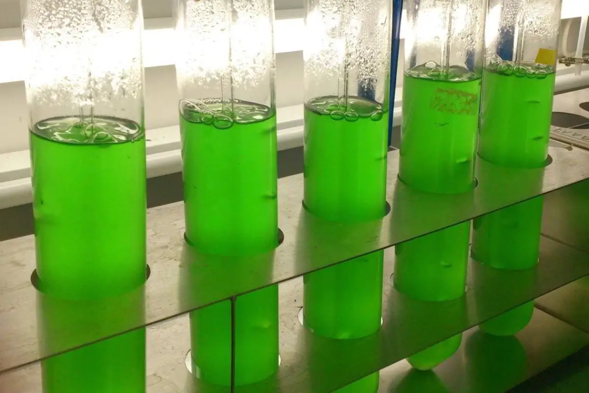 The newly discovered natural molecule could be as effective as Roundup but potentially safe and non-toxic to humans and animals