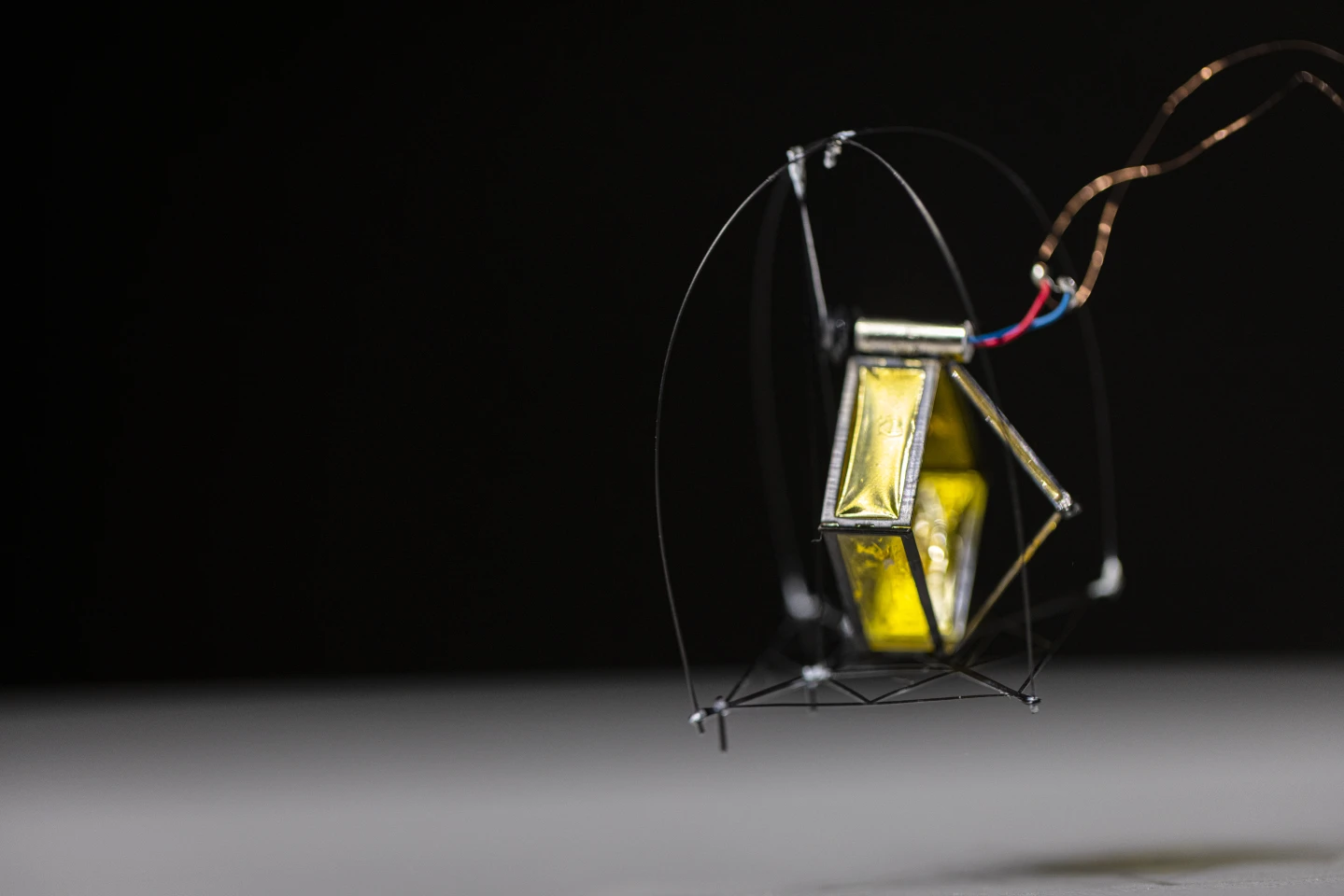 Engineers build a robot inspired by the flea