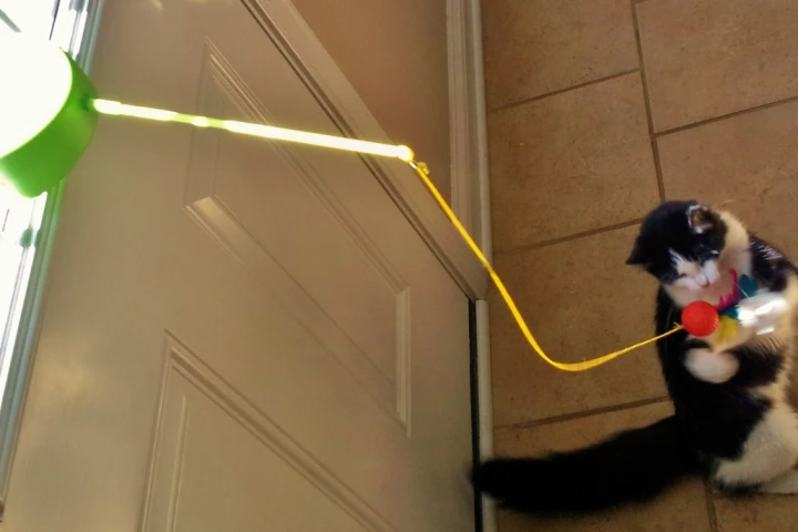The Solar Chaser is a solar-powered cat toy – hey, why not?