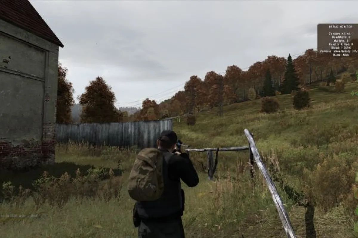 ArmA II zombiepocalypse mod DayZ has its sights set on a a fully-fledged standalone title