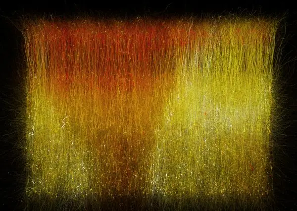 The mess of neurons in the brain connect with each other in unfathomable ways, but the researchers were able to make more sense of the structure by applying the mathematics of algebraic topology