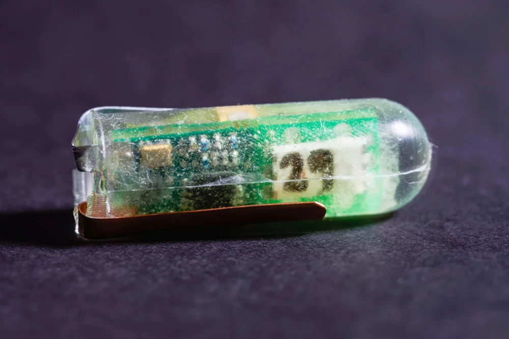 An MIT team has developed an ingestible system that generates electricity from stomach acid, to power tiny health-monitoring electronics