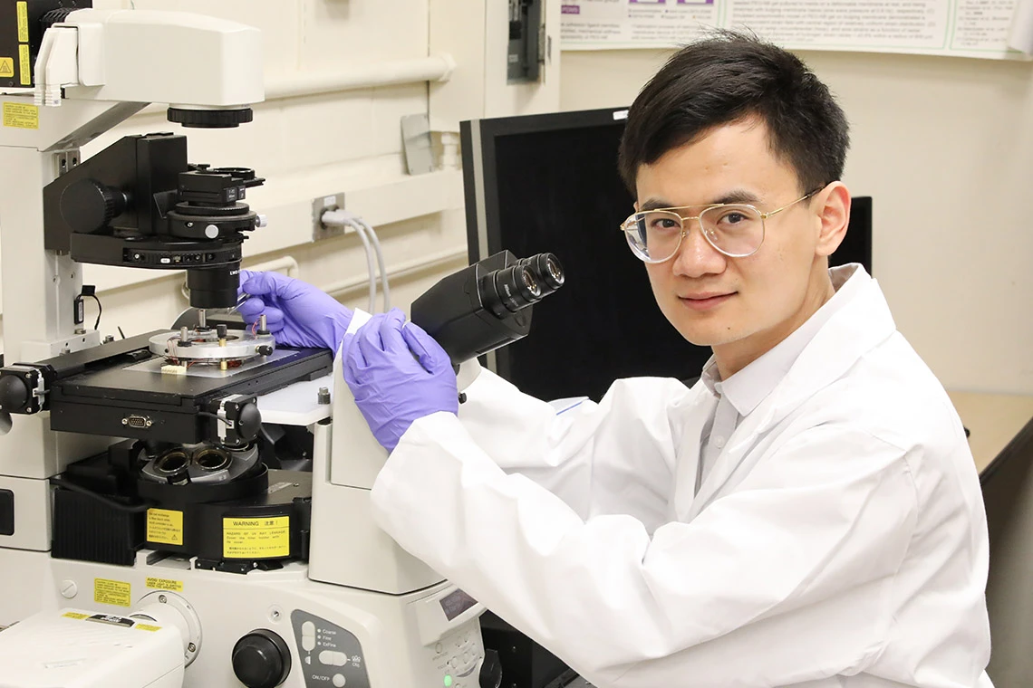 Researcher Xian Wang has designed nanobots that can be steered by magnets and are small enough to enter cells