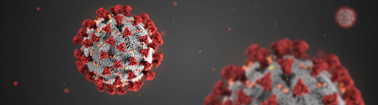 3D rendering of SARS-CoV-2 is shortlisted in the Graphics category. The project was created by Alissa Eckert (MSMI) and Dan Higgins (MAMS) and was commissioned to help raise public awareness about the dangers of COVID-19